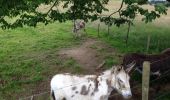 Randonnée Marche Érezée - chateau ferme de fisenne Soy Erezée - Photo 1