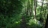 Tour Wandern Érezée - chateau ferme de fisenne Soy Erezée - Photo 14