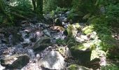 Randonnée Marche Stosswihr - sentiers des roches Ok  - Photo 5