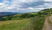 Trail Walking Luttenbach-près-Munster - Ried-Rothenbrunnen par Lameysberg - Photo 5