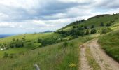 Trail Walking Luttenbach-près-Munster - Ried-Rothenbrunnen par Lameysberg - Photo 1