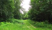 Trail Walking Pierrefonds - en forêt de Compiègne_1_étang de St-Périne_la Michelette - Photo 19