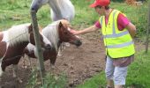 Tocht Stappen Chausseterre - petite Chaussetere 28 juin 2016 - Photo 5