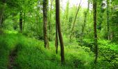 Trail Walking Longpont - en foret de Retz_48_les bois des Prêtres et du Mausolée - Photo 20