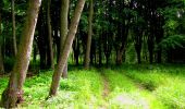 Trail Walking Longpont - en foret de Retz_48_les bois des Prêtres et du Mausolée - Photo 12