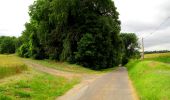 Randonnée Marche Longpont - en foret de Retz_48_les bois des Prêtres et du Mausolée - Photo 3