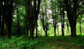 Trail Walking Longpont - en foret de Retz_48_les bois des Prêtres et du Mausolée - Photo 17