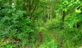Trail Walking Longpont - en foret de Retz_48_les bois des Prêtres et du Mausolée - Photo 11