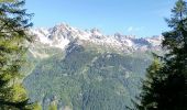 Tocht Stappen Chamonix-Mont-Blanc - CHAMONIX (les Mottets) - Photo 4