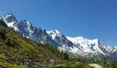 Tocht Stappen Chamonix-Mont-Blanc - CHAMONIX (les Mottets) - Photo 7