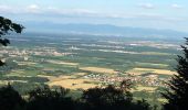 Excursión Bici de montaña Steinbach - Steinbach -cantine Zehler - Photo 1