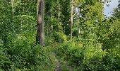 Trail Walking Gesves - Mozet 03-07-2016 - Photo 3