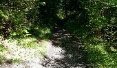Trail Walking Passy - chalets varan - Photo 1