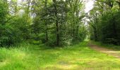Randonnée Marche Saint-Jean-aux-Bois - en forêt de Compiègne_2_ruines gallo-romaines de Champlieu_les Petits Monts - Photo 9