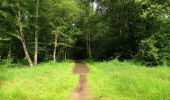 Trail Walking Saint-Jean-aux-Bois - en forêt de Compiègne_2_ruines gallo-romaines de Champlieu_les Petits Monts - Photo 8