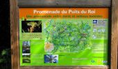 Tour Wandern Saint-Jean-aux-Bois - en forêt de Compiègne_2_ruines gallo-romaines de Champlieu_les Petits Monts - Photo 4
