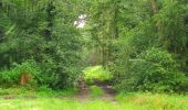 Trail Walking Saint-Jean-aux-Bois - en forêt de Compiègne_2_ruines gallo-romaines de Champlieu_les Petits Monts - Photo 10