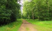 Trail Walking Saint-Jean-aux-Bois - en forêt de Compiègne_2_ruines gallo-romaines de Champlieu_les Petits Monts - Photo 7