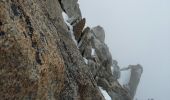 Excursión Otra actividad Chamonix-Mont-Blanc - arête des cosmique - Photo 1
