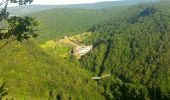 Tocht Lopen Grand-Corent - corent corveissiat par selignac - Photo 2