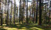 Trail Walking Embrun - Mont Guillaume-Col de Chanté Perdrix-Lac de l'Hivernet(07-09-16) - Photo 10