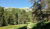 Randonnée Marche Embrun - Mont Guillaume-Col de Chanté Perdrix-Lac de l'Hivernet(07-09-16) - Photo 9
