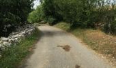 Trail Walking Labeaume - Labeaume  - Photo 10