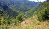 Tocht Stappen Mostuéjouls - Grands Causses - Liaucous - St-Marcellin - 2016 07 04 - 680m 14,3km - Photo 3