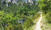 Tour Wandern Mostuéjouls - Grands Causses - Liaucous - St-Marcellin - 2016 07 04 - 680m 14,3km - Photo 5