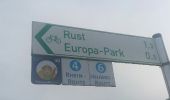 Randonnée Marche Rheinau/Rhinau - Du Bac de Rhinau à Rust - Photo 1