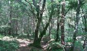 Trail Walking Camors - Circuit de l'Étoile.(forêt de Camors).11-07-16. - Photo 8
