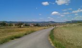 Tocht Andere activiteiten Sant Julià de Vilatorta - ruta dels molins  - Photo 1