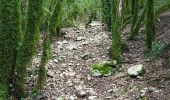 Trail Walking Le Garn - Le Garn Gorges de  l'Ardèche  - Photo 5