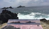 Excursión Otra actividad Ajaccio - perret îles sanguinaires  - Photo 4