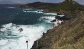 Excursión Otra actividad Ajaccio - perret îles sanguinaires  - Photo 1