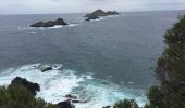 Excursión Otra actividad Ajaccio - perret îles sanguinaires  - Photo 17