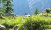 Excursión Senderismo Tende - Casterino - Refuge de Valmasque - les 3 lacs - 2016 06 28 - 860m 17.7km - Photo 2