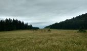 Tour Wandern Saint-Genès-Champanelle - rando Auvergne 2 - Photo 1