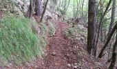 Randonnée Marche Fontan - Bergue Inférieur - Le tour de la cime de Corvo - 10.1km 620m 3h40 (40mn) - 2016 06 30 - Photo 2