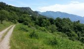 Randonnée Marche Fontan - Bergue Inférieur - Le tour de la cime de Corvo - 10.1km 620m 3h40 (40mn) - 2016 06 30 - Photo 3