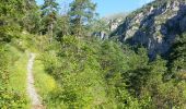Randonnée Marche Fontan - Fontan - de Cayrosina au Chateau de Malmort et au pont de Gafeug - 16.6km 945m 7h00 (0h40) - 2016 06 27 - Photo 2