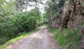 Trail Walking Breil-sur-Roya - Col de Brouis  (Breil-sur-Roya) - cime du Bosc - 2016 06 29 - Photo 4