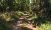 Trail Walking Sainte-Bazeille - couthures  - Photo 3