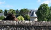 Randonnée Marche Truyes - Truyes - circuit Gâtacier et boucle le Feuillet et AR Cormery - 17.6km 165m 3h45 (45mn) - 2016 07 15 - Photo 5