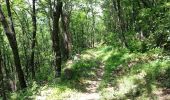 Randonnée Marche Breil-sur-Roya - Breil-sur-Roya - Piène Haute Piène Basse Libre Rougna - 18.5km 930m 6h50 (0h40) - 2016 06 25 - Photo 11