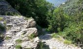 Randonnée Marche Breil-sur-Roya - Breil-sur-Roya - Piène Haute Piène Basse Libre Rougna - 18.5km 930m 6h50 (0h40) - 2016 06 25 - Photo 12