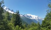 Randonnée Marche Chamonix-Mont-Blanc - TMB J1 MONTROC -TRIENT - Photo 6