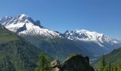 Randonnée Marche Chamonix-Mont-Blanc - TMB J1 MONTROC -TRIENT - Photo 5