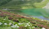 Tour Wandern Valdeblore - mont poiri et les lacs des millefonts - Photo 1