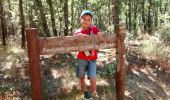 Trail Walking Rustrel - colorado rustrel 17-07-2016 - Photo 9
